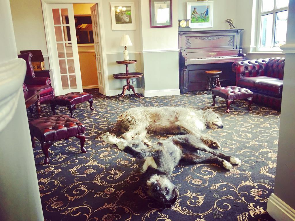 Milltown House Dingle Hotel Eksteriør billede
